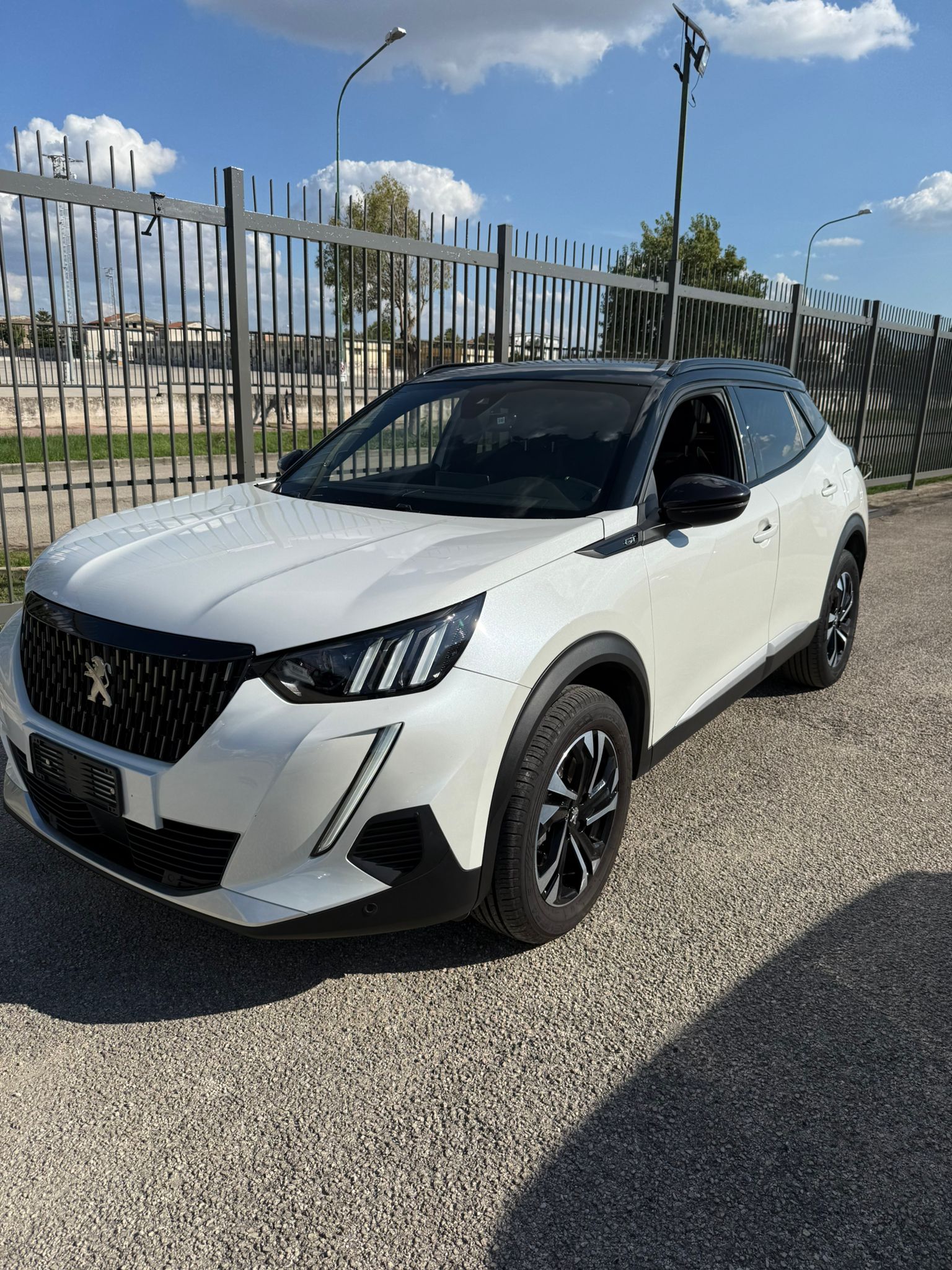 Auto 31